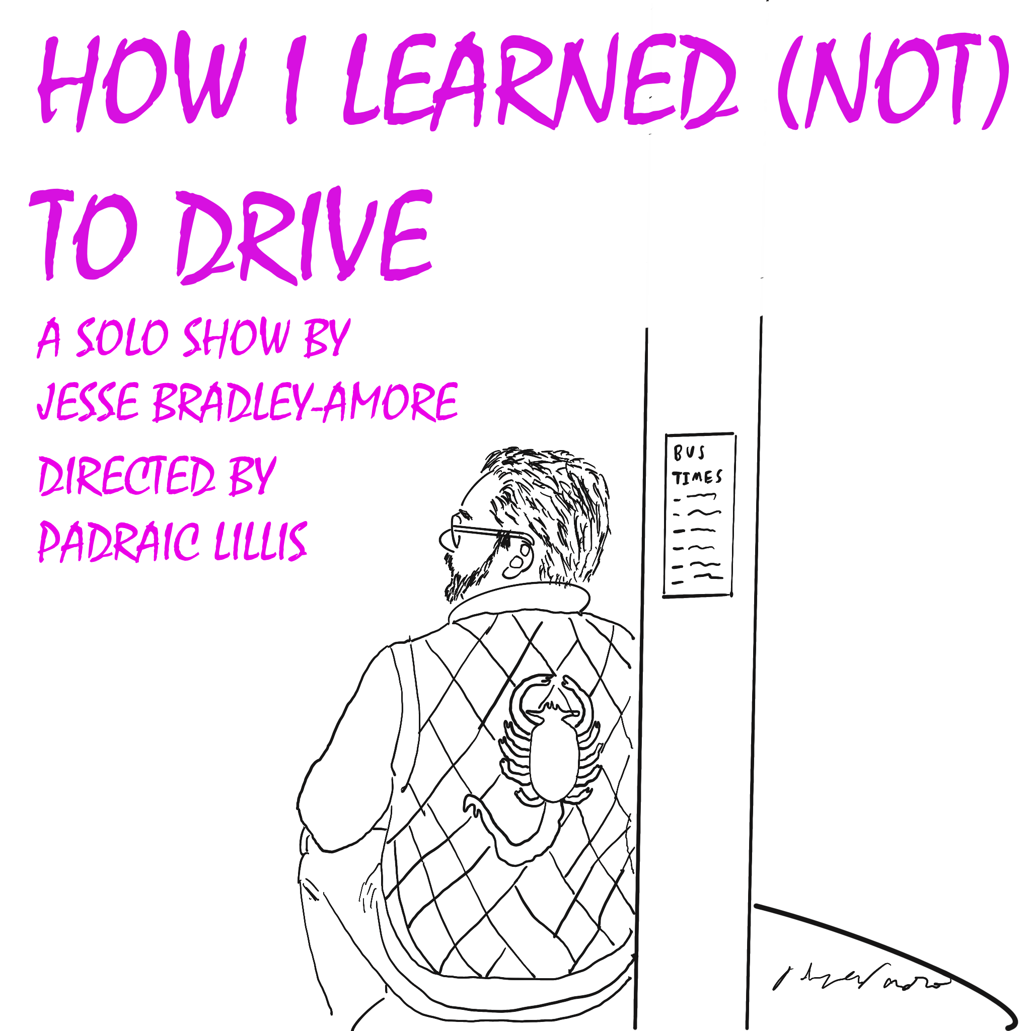 How I Learned (Not) To Drive
